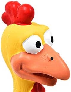 squeaky rubber chicken head