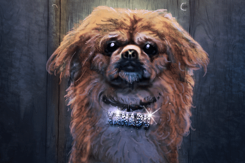 Xanadu The Apocalypse Pup!